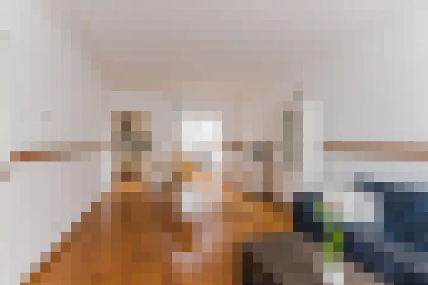 Hoefakkerstraat 87 Tilburg thumbnail 4