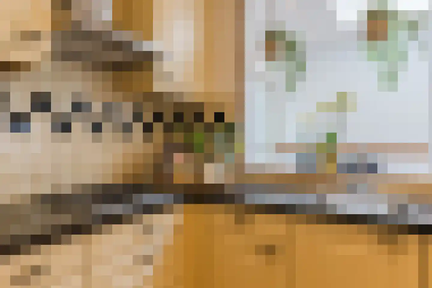 Hoefakkerstraat 87 Tilburg thumbnail 7