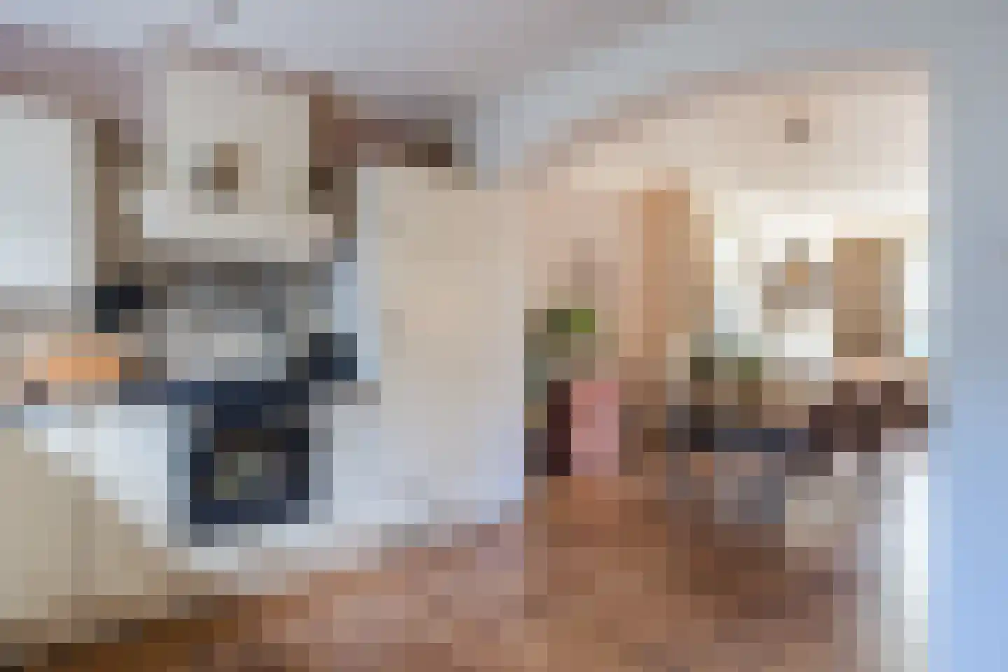 Hoefakkerstraat 89 Tilburg thumbnail 10