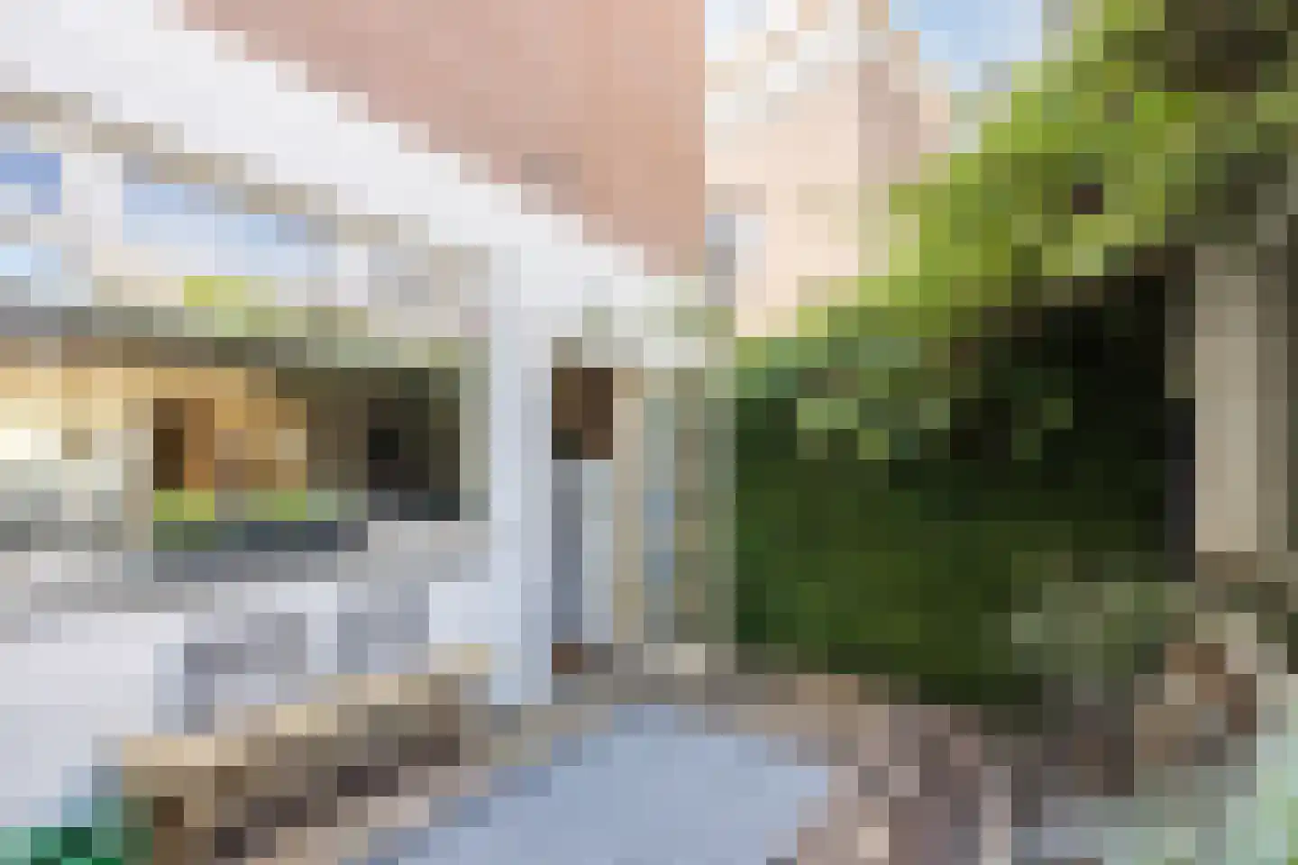 Hoefakkerstraat 89 Tilburg thumbnail 30