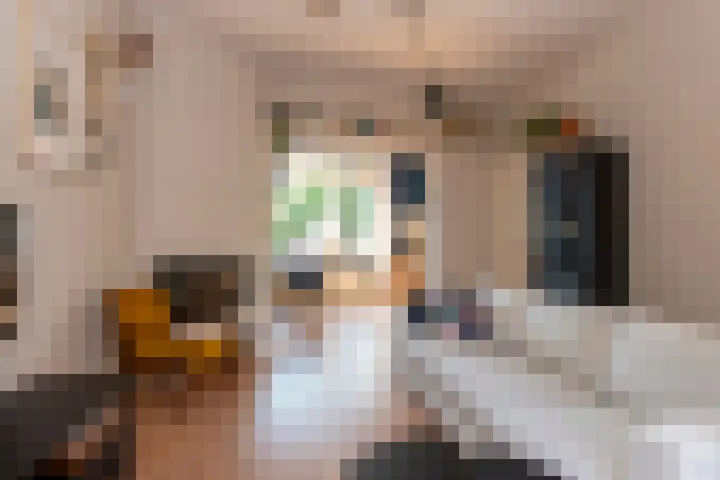 Hoefakkerstraat 91 Tilburg thumbnail 15