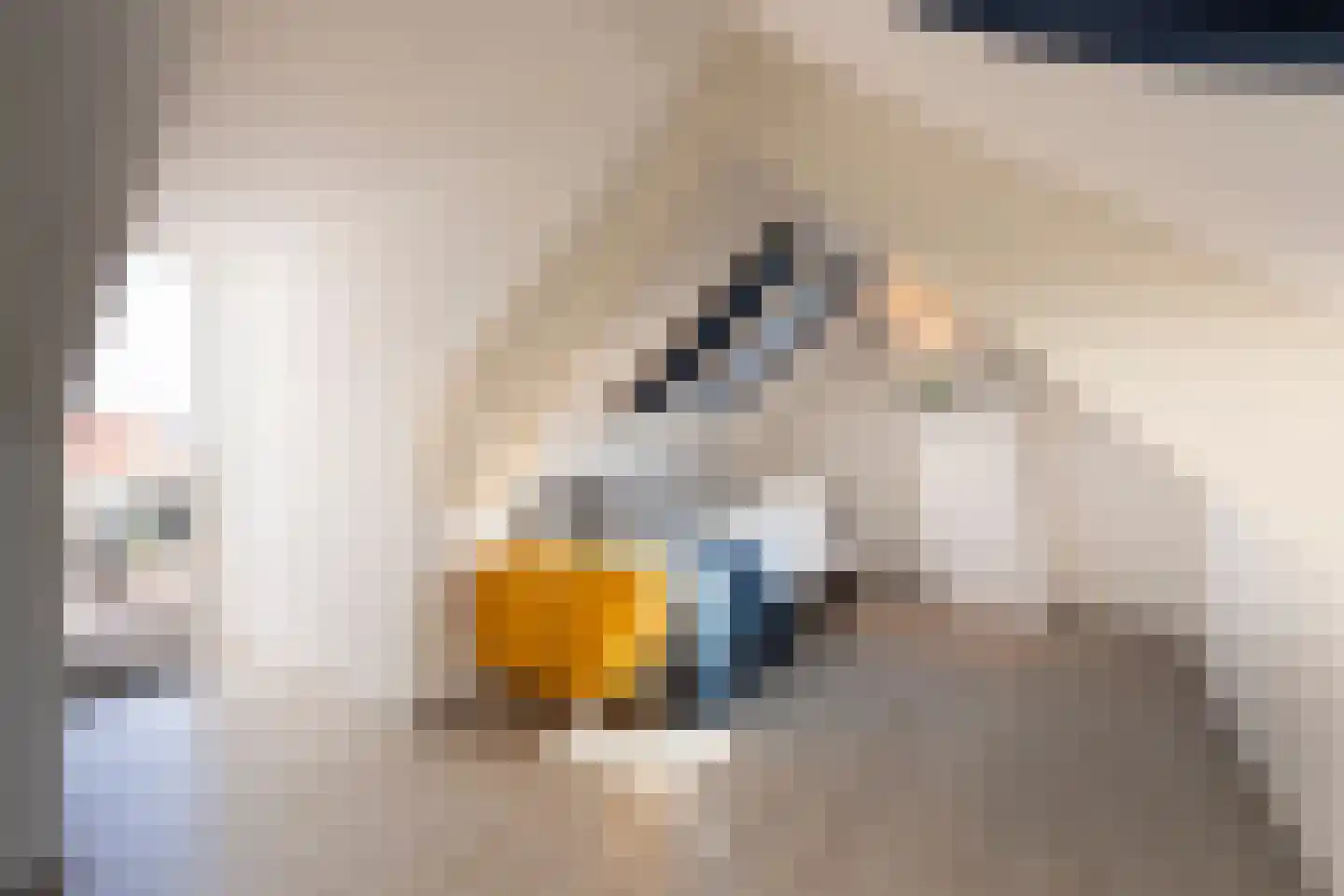 Hoefakkerstraat 91 Tilburg thumbnail 34