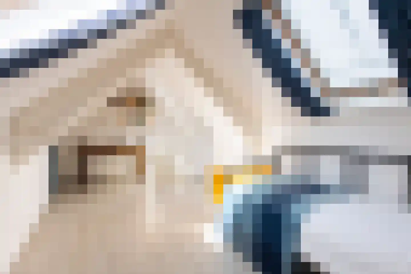 Hoefakkerstraat 91 Tilburg thumbnail 35