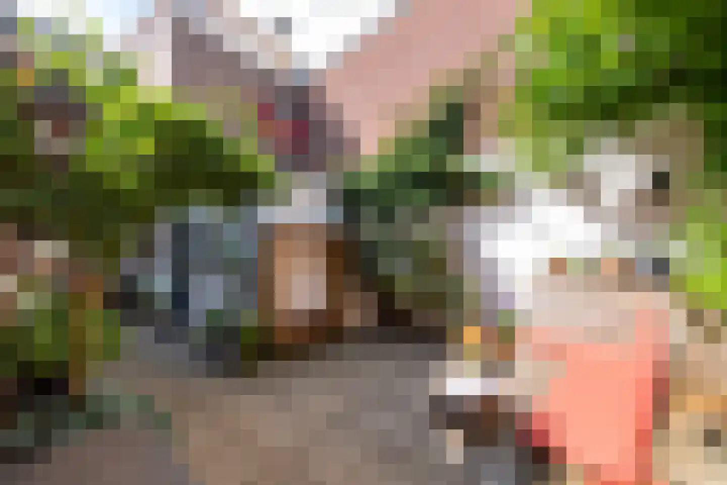 Hoefakkerstraat 91 Tilburg thumbnail 4