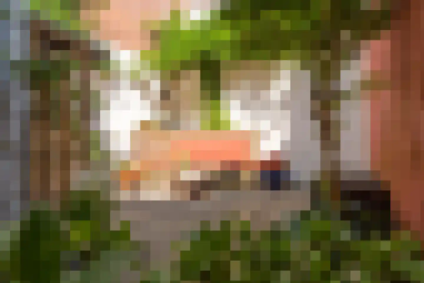 Hoefakkerstraat 91 Tilburg thumbnail 40
