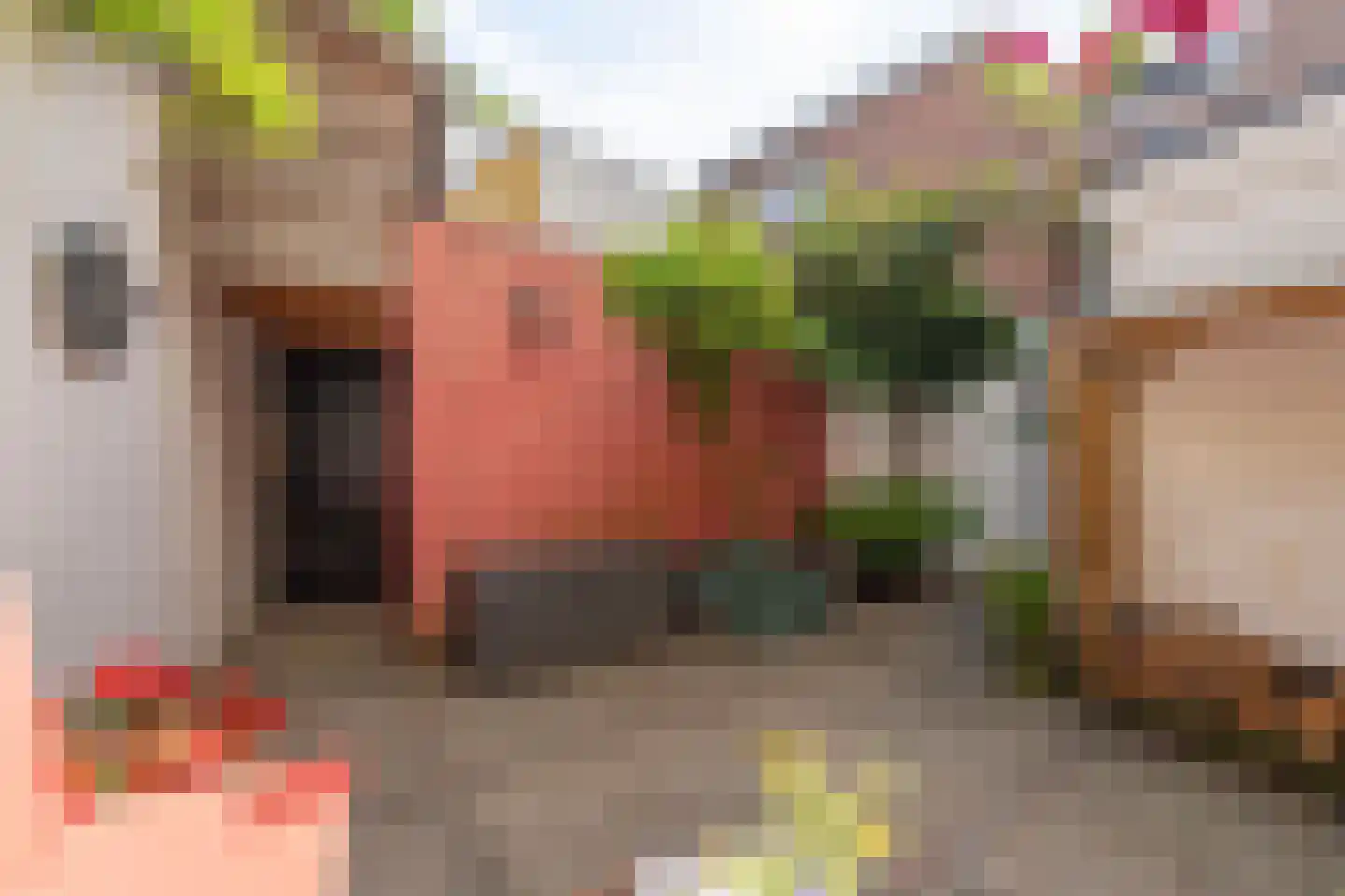 Hoefakkerstraat 91 Tilburg thumbnail 43