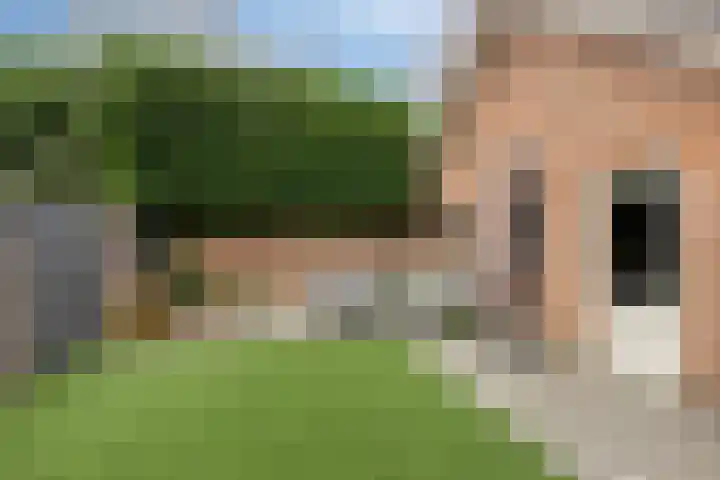 Hoefberg 1 Rosmalen thumbnail 33
