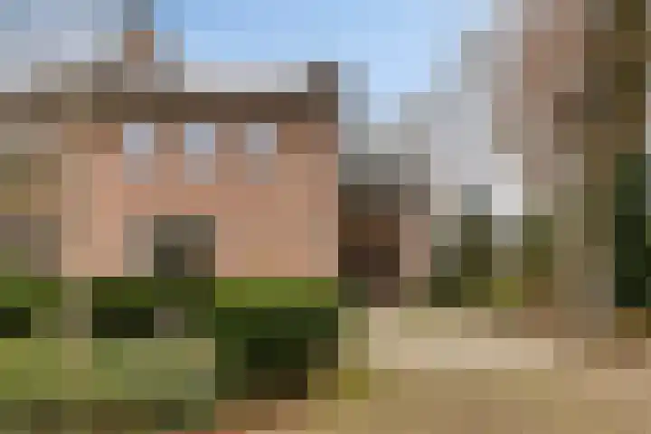 Hoefberg 1 Rosmalen thumbnail 38