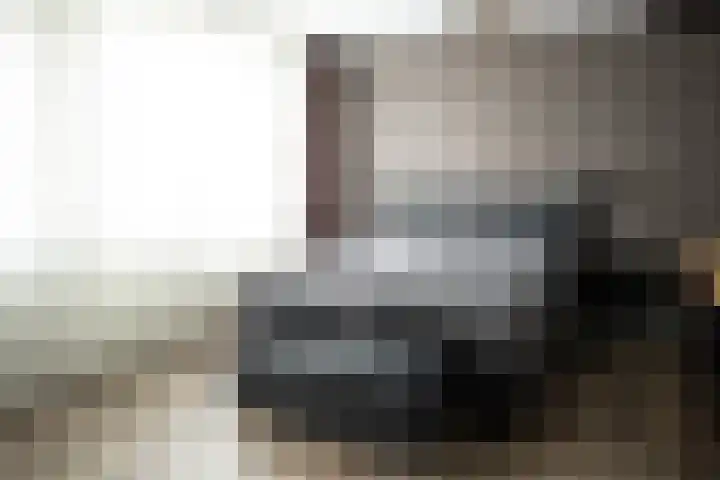 Hoefblad 10 Nieuwleusen thumbnail 15