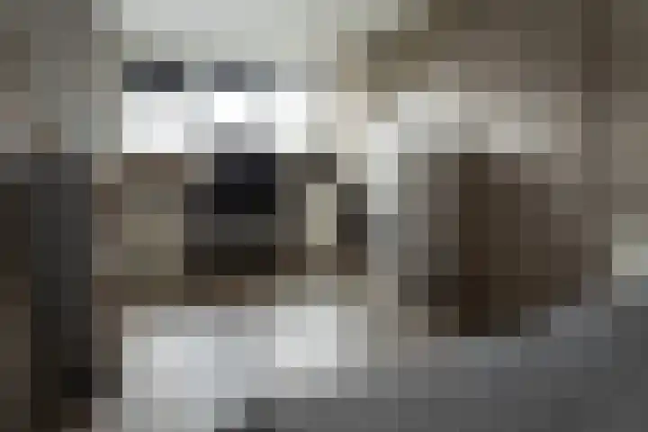 Hoefblad 10 Nieuwleusen thumbnail 24