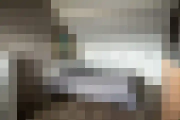Hoefblad 10 Nieuwleusen thumbnail 25