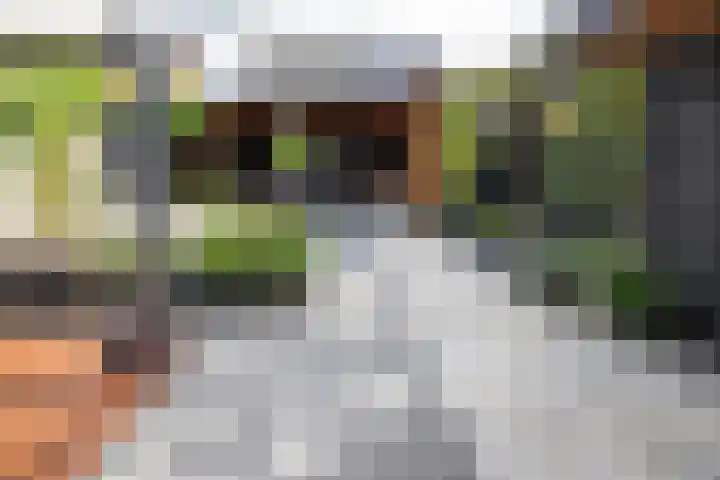 Hoefblad 10 Nieuwleusen thumbnail 27