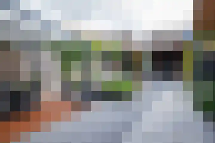Hoefblad 10 Nieuwleusen thumbnail 28