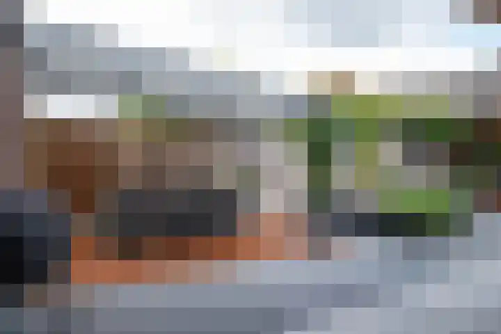 Hoefblad 10 Nieuwleusen thumbnail 29