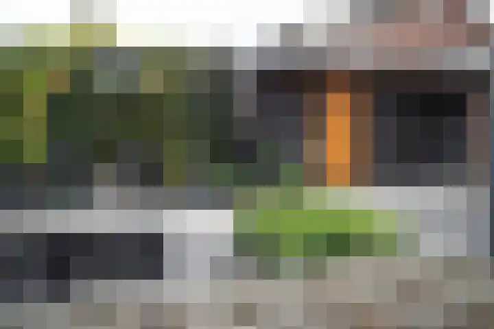 Hoefblad 10 Nieuwleusen thumbnail 30