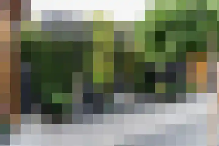 Hoefblad 10 Nieuwleusen thumbnail 31