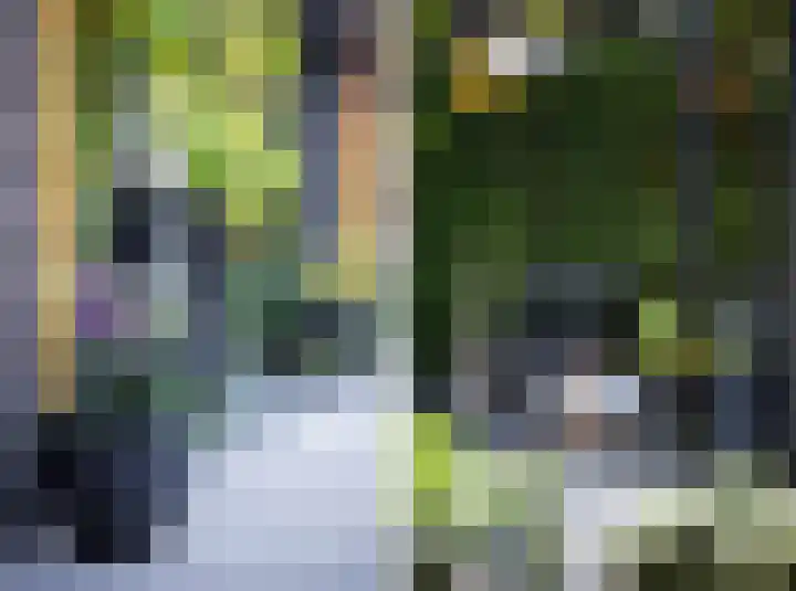 Hoefblad 10 Nieuwleusen thumbnail 32