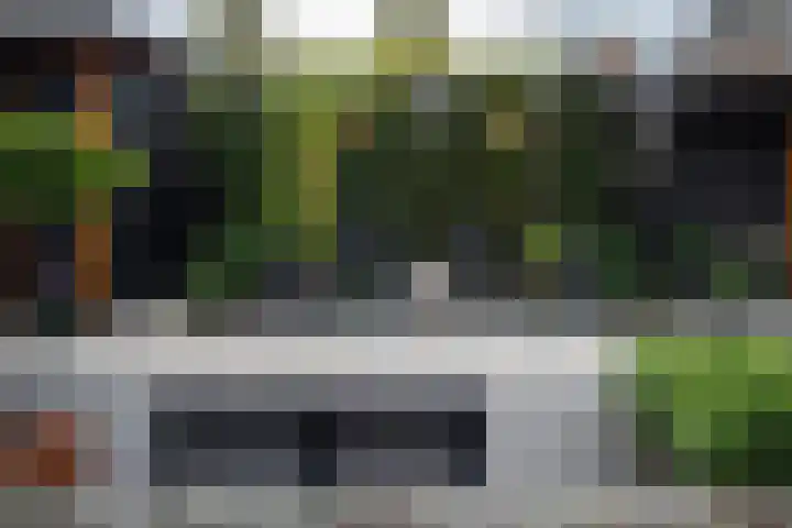 Hoefblad 10 Nieuwleusen thumbnail 33