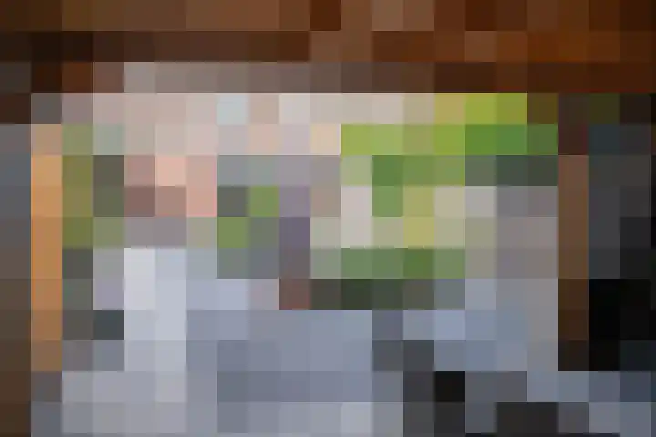 Hoefblad 10 Nieuwleusen thumbnail 36