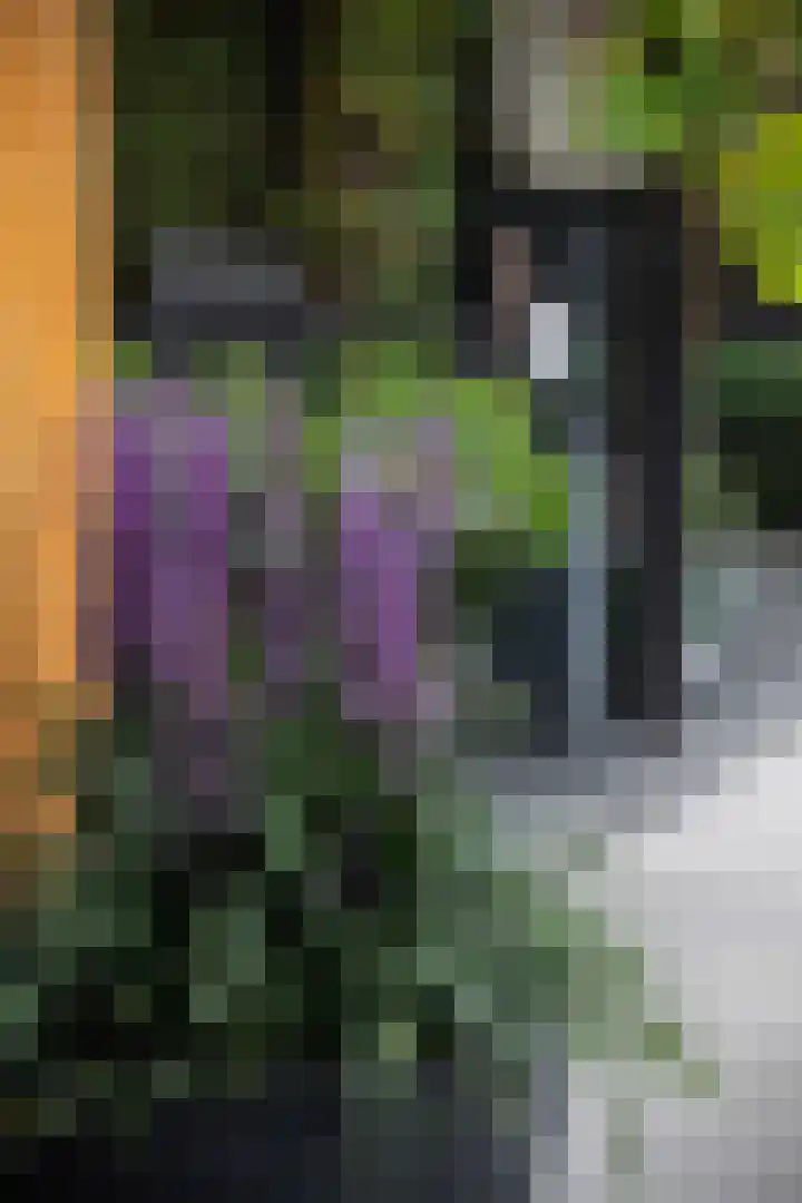 Hoefblad 10 Nieuwleusen thumbnail 38