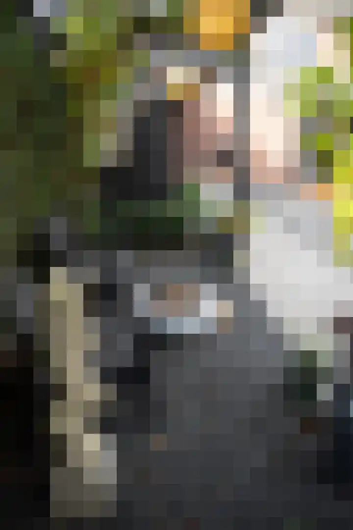 Hoefblad 10 Nieuwleusen thumbnail 39