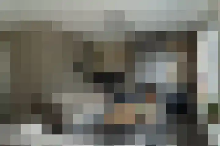 Hoefblad 10 Nieuwleusen thumbnail 4