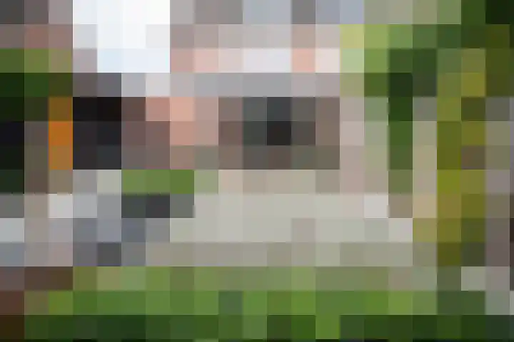 Hoefblad 10 Nieuwleusen thumbnail 40