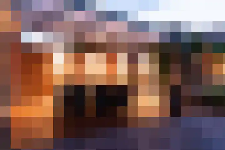 Hoefblad 10 Nieuwleusen thumbnail 44