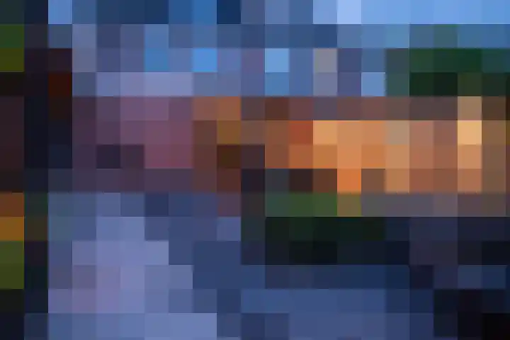Hoefblad 10 Nieuwleusen thumbnail 47