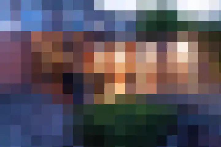 Hoefblad 10 Nieuwleusen thumbnail 48