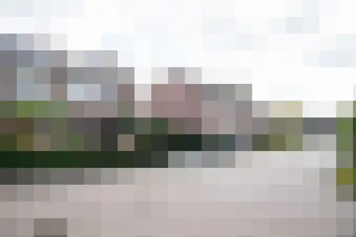 Hoefblad 10 Nieuwleusen thumbnail 49