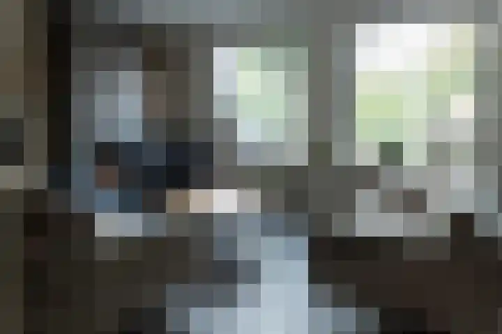 Hoefblad 10 Nieuwleusen thumbnail 5