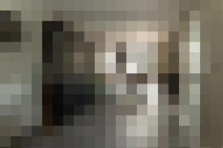 Hoefblad 10 Nieuwleusen thumbnail 6