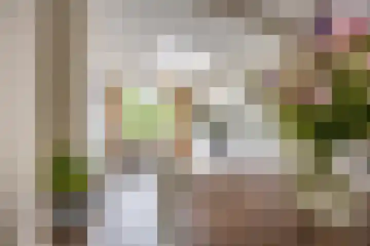 Hoefblad 105 Best thumbnail 15