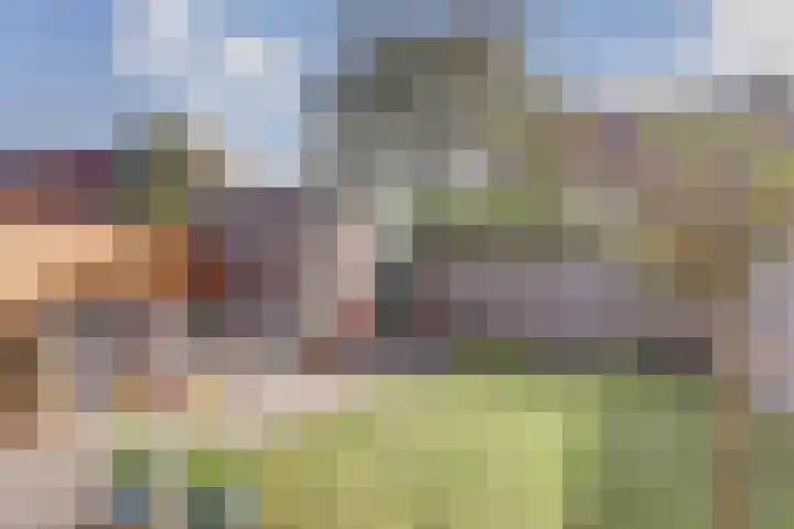 Hoefblad 106 Zwaag thumbnail 29
