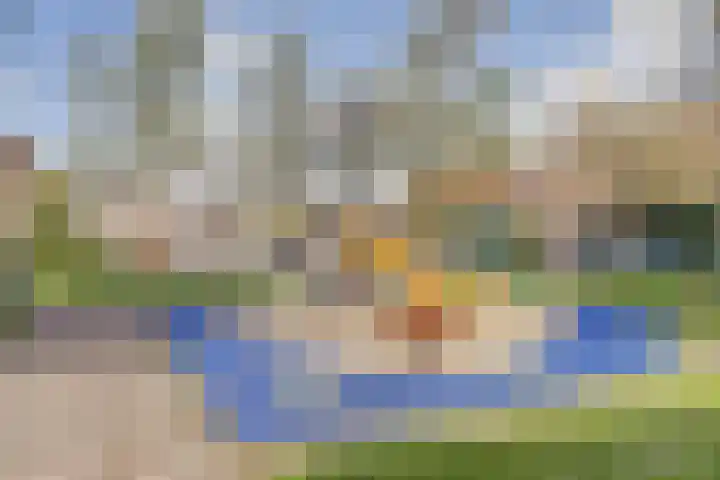Hoefblad 106 Zwaag thumbnail 32