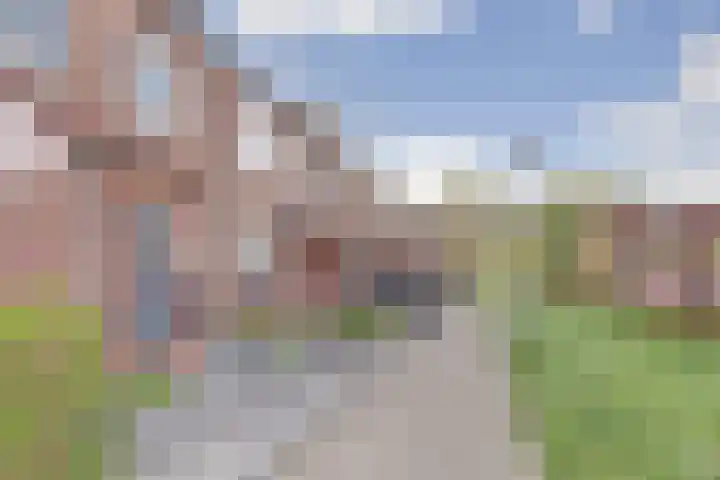 Hoefblad 106 Zwaag thumbnail 33