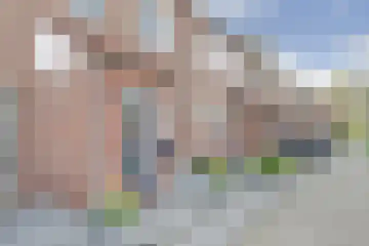Hoefblad 106 Zwaag thumbnail 5