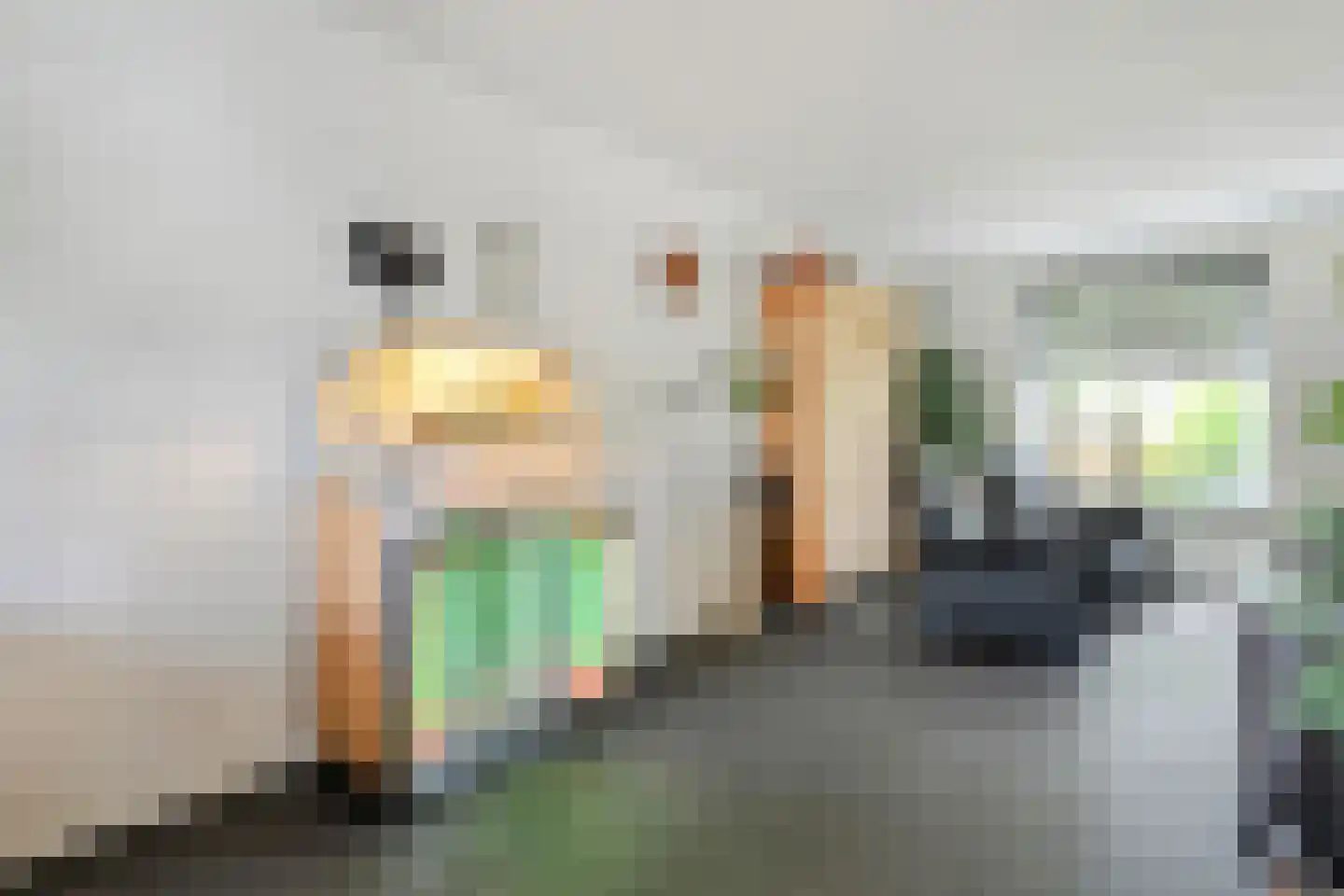 Hoefblad 12 Nieuwleusen thumbnail 11