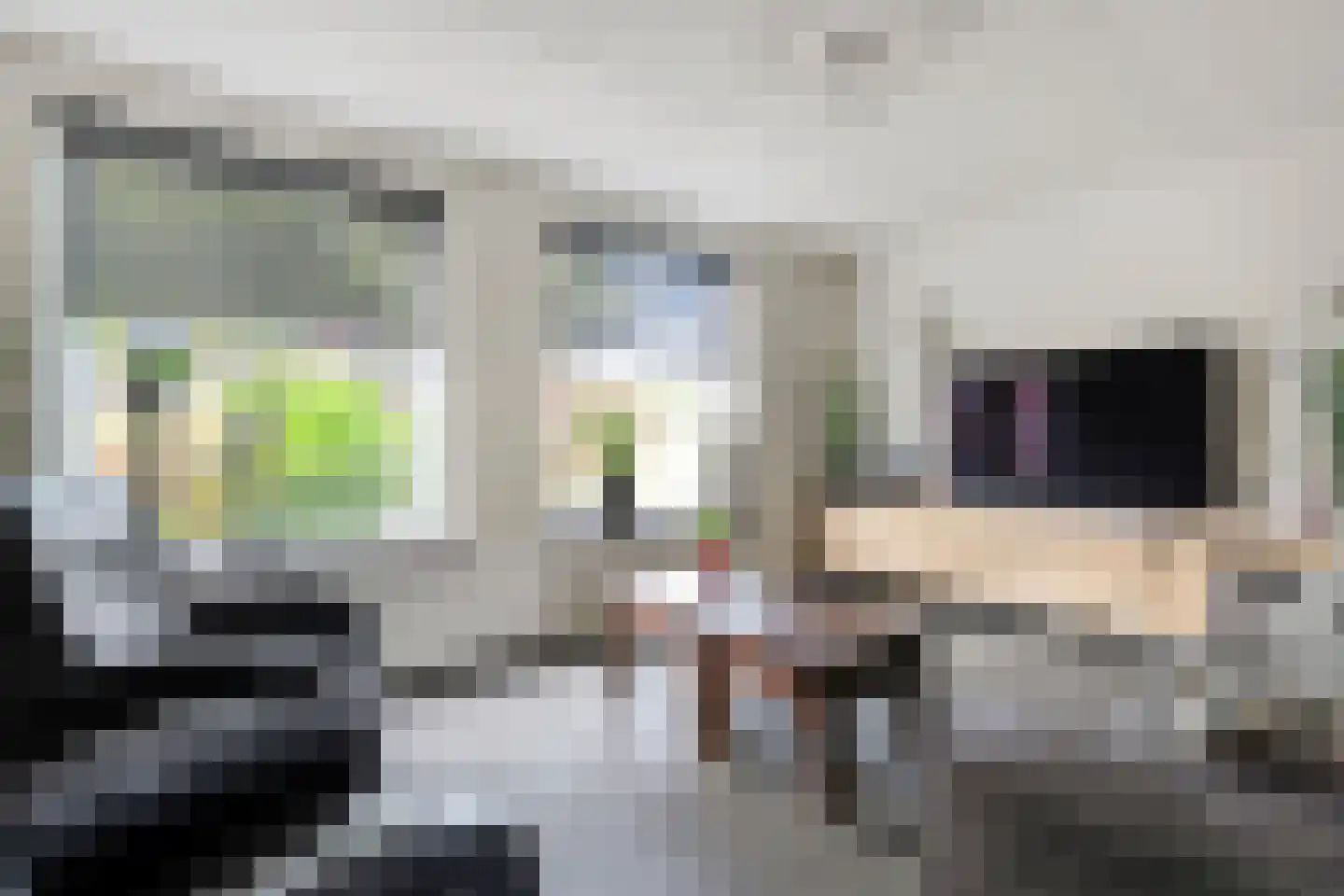 Hoefblad 12 Nieuwleusen thumbnail 13
