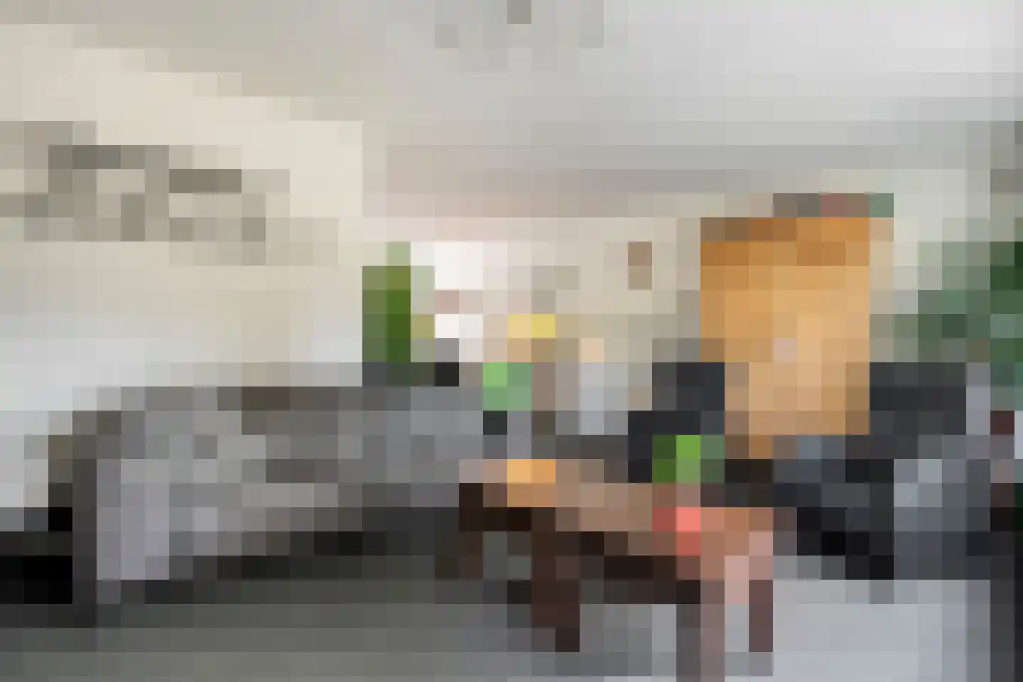 Hoefblad 12 Nieuwleusen thumbnail 15