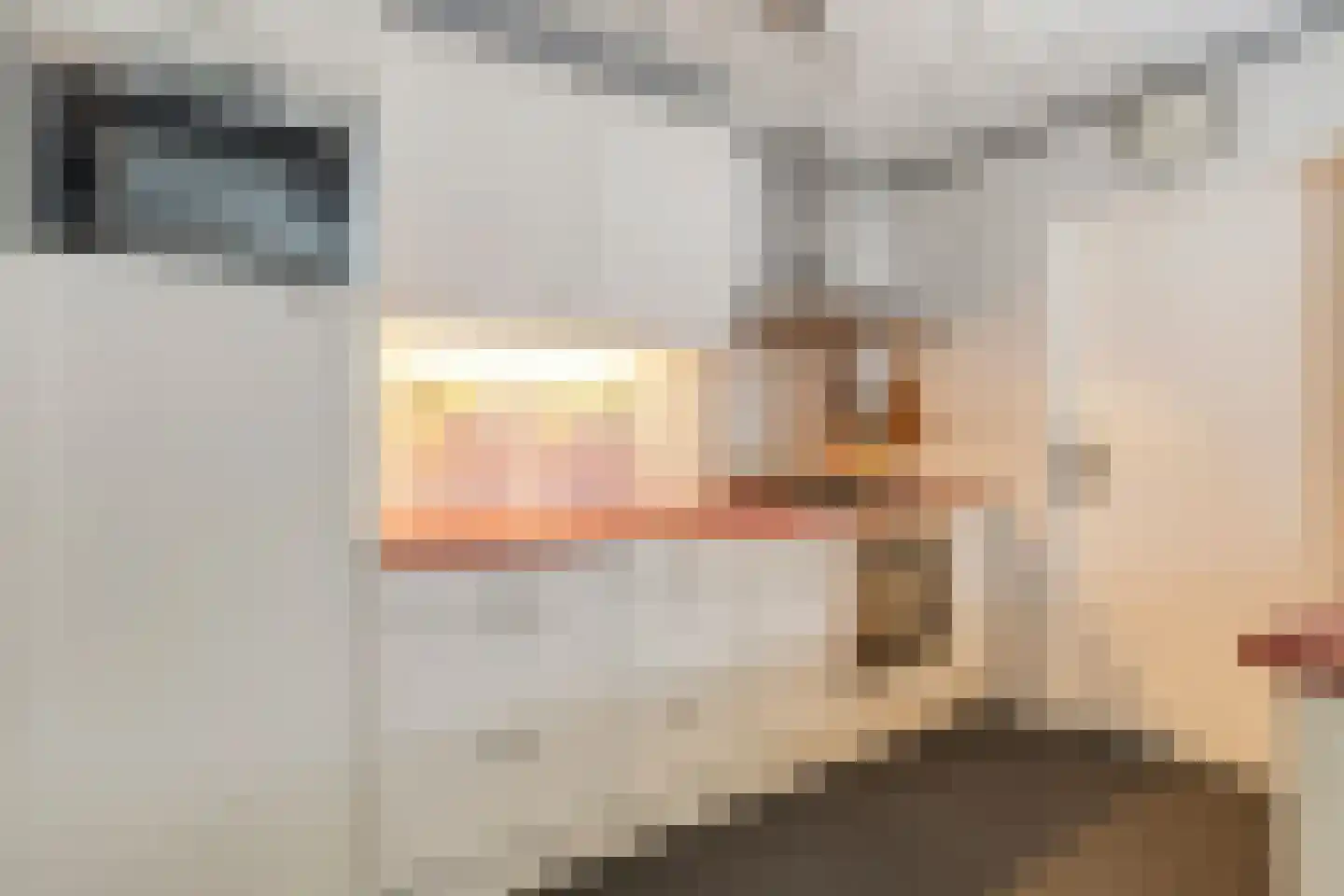 Hoefblad 12 Nieuwleusen thumbnail 19