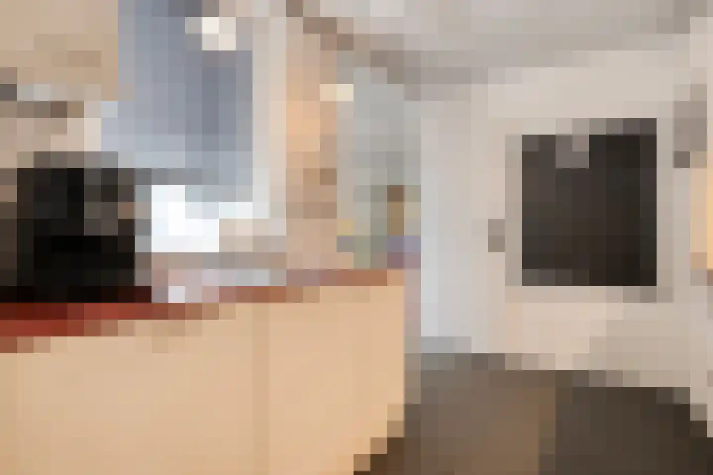 Hoefblad 12 Nieuwleusen thumbnail 21