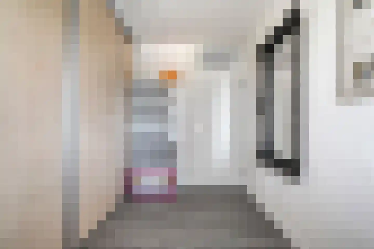 Hoefblad 12 Nieuwleusen thumbnail 31