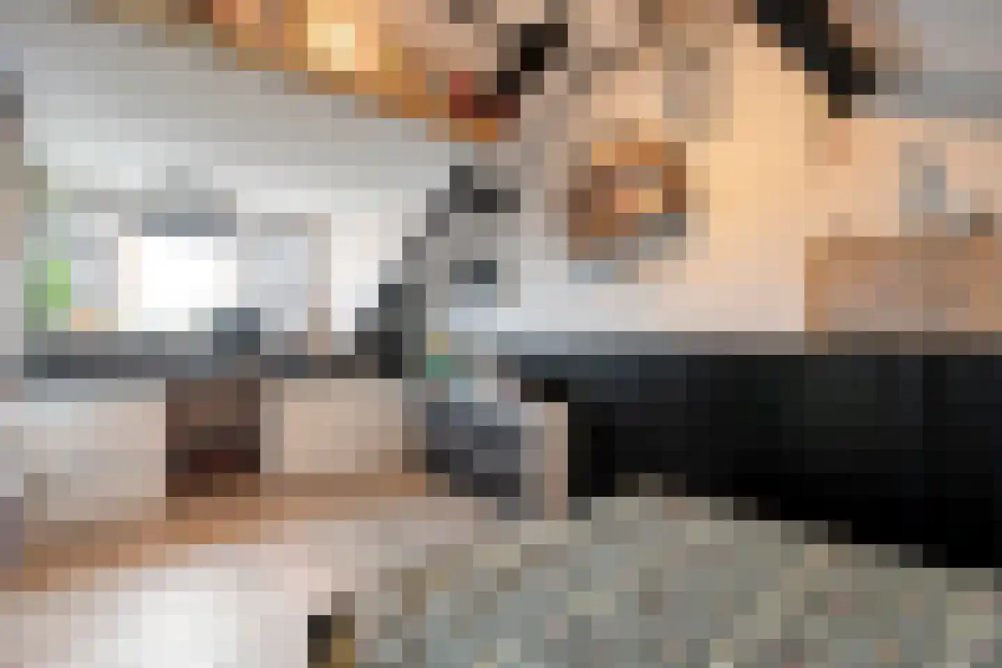 Hoefblad 12 Nieuwleusen thumbnail 41