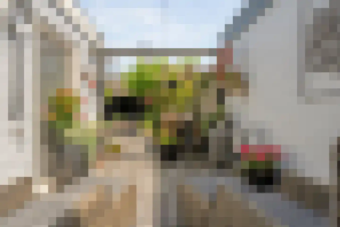 Hoefblad 12 Nieuwleusen thumbnail 45