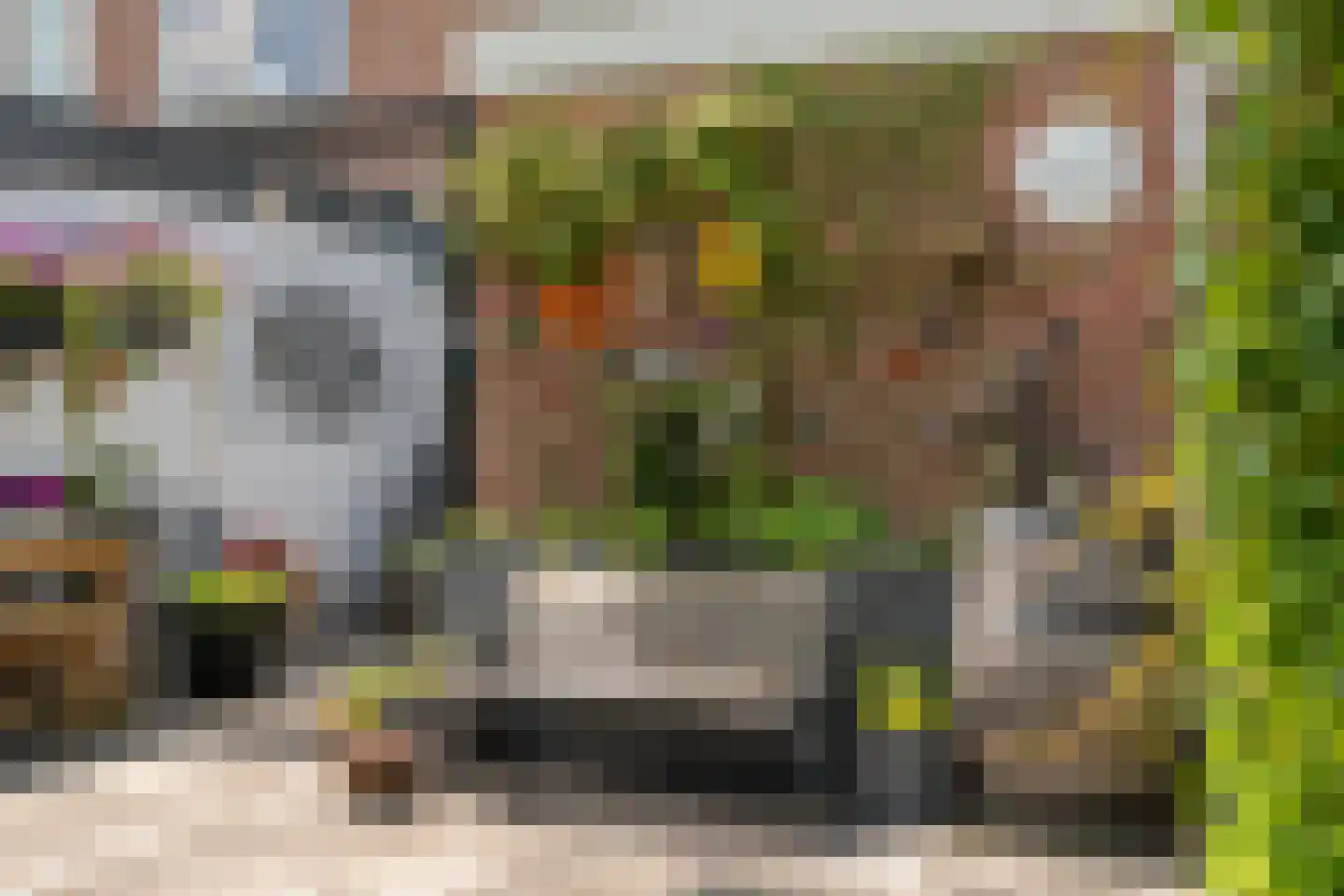 Hoefblad 12 Nieuwleusen thumbnail 47