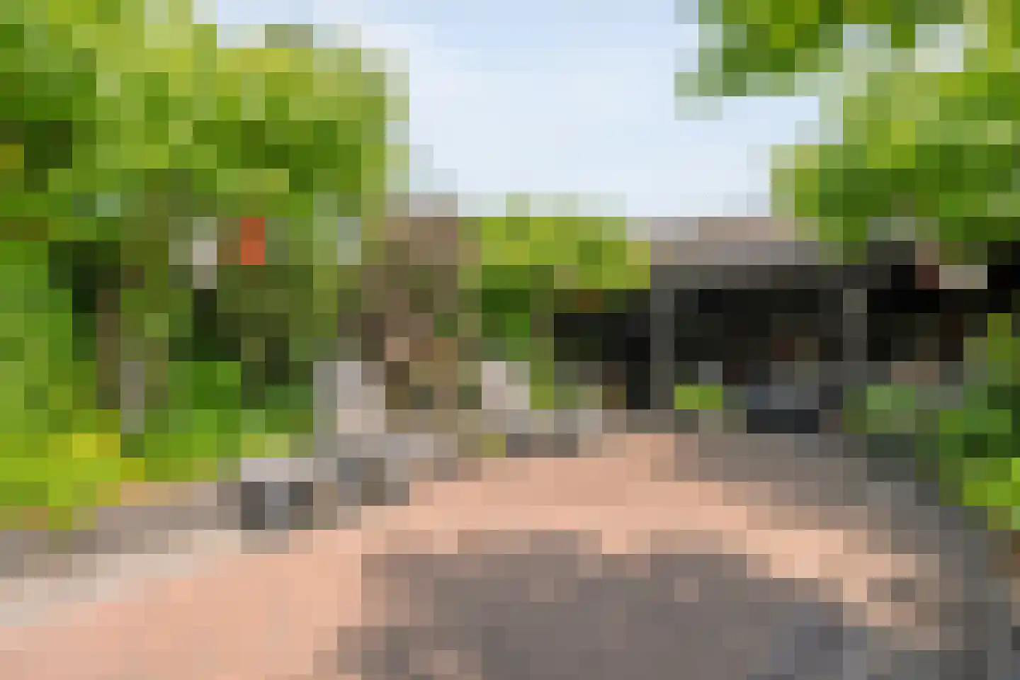 Hoefblad 12 Nieuwleusen thumbnail 48