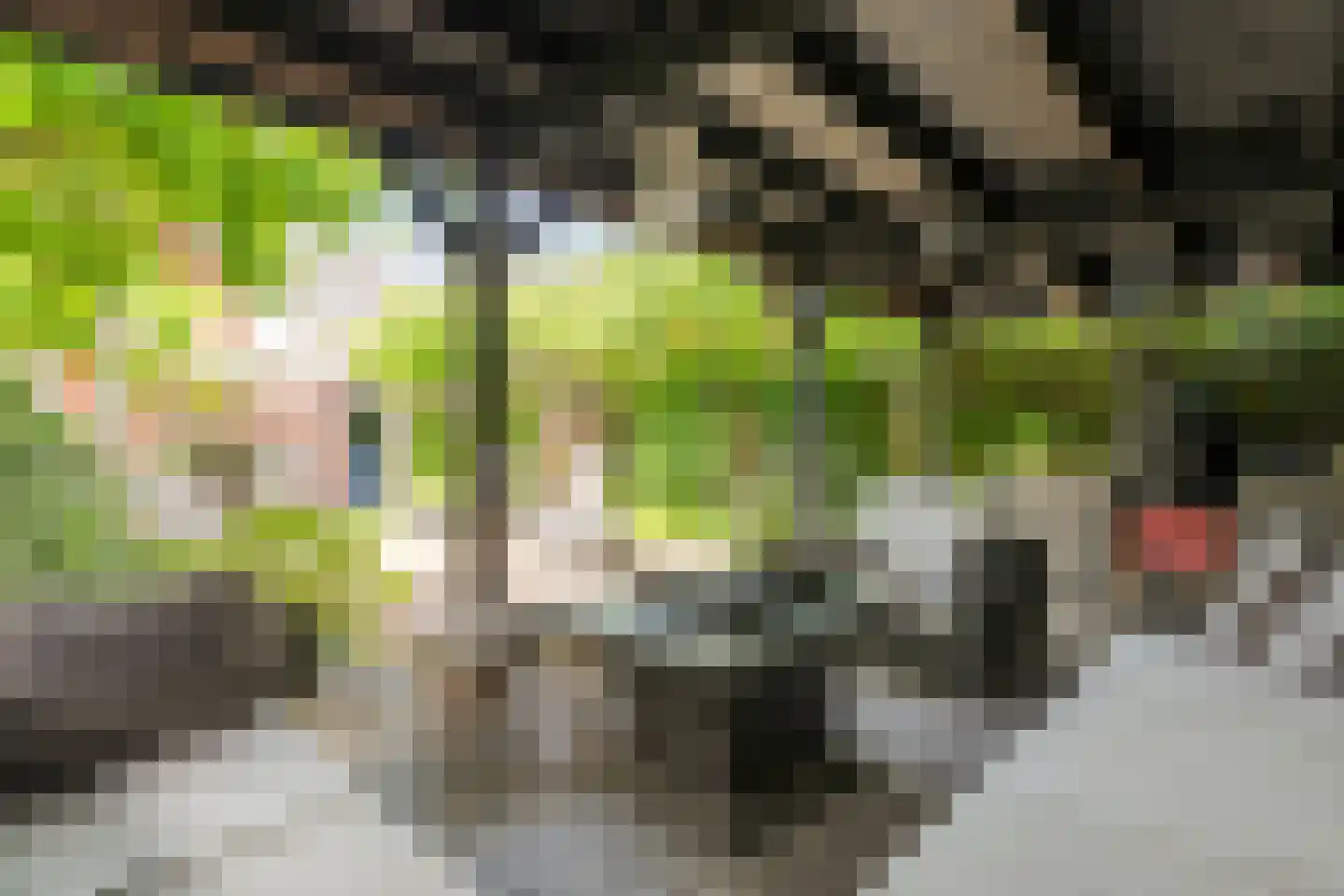 Hoefblad 12 Nieuwleusen thumbnail 51