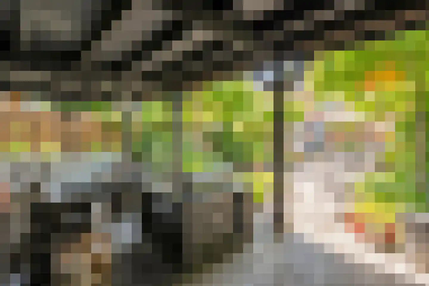 Hoefblad 12 Nieuwleusen thumbnail 52